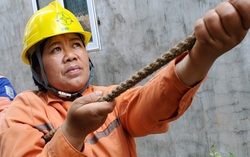Những phụ nữ bình dị, tỏa sáng ở Điện lực miền Bắc
