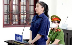 Lừa đảo chiếm đoạt tài sản, Youtuber "Bích Thủy TV" lĩnh án 8 năm tù