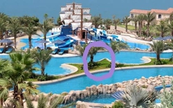 Vụ bé trai người Nhật bị đuối nước tại Phan Thiết: Người mẹ kiến nghị thu hồi Quyết định tạm đình chỉ điều tra