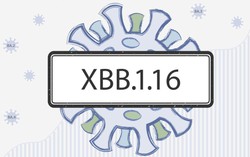 Những điều cần biết về biến thể XBB.1.16 đang gia tăng tại Châu Á