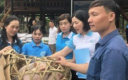 Thanh Hóa: Thay đổi tư duy lao động cho bà con vùng dân tộc thiểu số và miền núi qua các mô hình sinh kế
