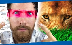 Vì sao con người lại sở hữu đôi mắt của những kẻ săn mồi hàng đầu?