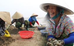 Những người phụ nữ mưu sinh bằng nghề "đi theo con nước"