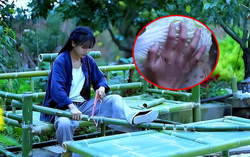 Bàn tay đầy sẹo sần sùi của "tiên nữ đồng quê" của Lý Tử Thất: Hiện thực không như mơ