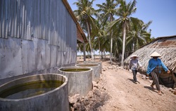 Cấp bách chuẩn bị các phương án ứng phó với hạn mặn vùng Đồng bằng sông Cửu Long