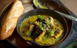 Loài vật "không chân" nhưng bổ hơn sâm, giúp bồi bổ sinh lực nam giới, tốt cho người thiếu máu