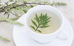 3 loại cây "thảo dược", hiệu quả điều trị đau đầu do thay đổi thời tiết