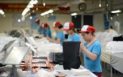 Giải pháp bảo đảm việc làm bền vững cho lao động nữ ngoài 35 tuổi