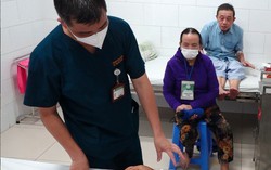 Loài vật mang độc có nhiều tại Việt Nam, sinh sản mạnh vào mùa hè: Chuyên gia lưu ý cần tránh xa