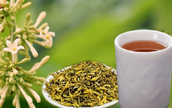 Lá, hoa đu đủ có "diệt" được tế bào ung thư? Câu trả lời từ Tiến sĩ Dược 