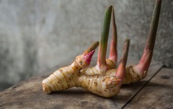 Loại củ có công dụng ngăn ngừa ung thư, khỏe xương khớp