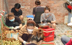 Bên trong vựa măng cụt tiêu thụ hơn 1 tấn mỗi ngày ở TPHCM, sinh viên làm thêm kiếm tiền triệu