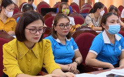 Huyện Tân Sơn (Phú Thọ): Triển khai, hướng dẫn thực hiện Dự án 8