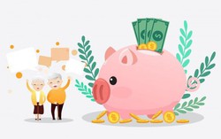 86 tuổi vẫn thu nhập mỗi tháng chục triệu đồng, không tiêu tiền của con