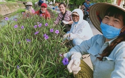 Nâng cao ý thức gìn giữ môi trường xanh bền vững cho hội viên, phụ nữ