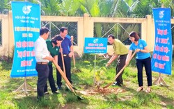 Bến Tre: Phát động phong trào trồng cây “Phụ nữ vun trồng tương lai”