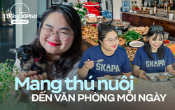 “Đột nhập” công ty cho mang theo thú cưng đi làm, giờ nghỉ trưa được xem phim