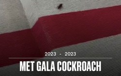 Thảm đỏ danh giá Met Gala náo loạn vì gián