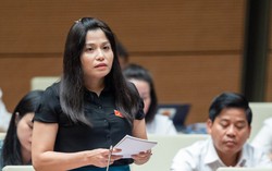 Đại biểu Quốc hội lo ngại quy định mới về công khai giá trong dự thảo Luật Giá (sửa đổi)