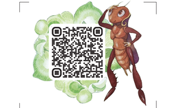 Việt Nam là "Quốc gia Tiêu điểm" tại Hội sách Thiếu nhi châu Á 2023