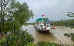 Sở GD&ĐT Hà Nội yêu cầu không tự tổ chức các hoạt động trải nghiệm mang tính tự phát