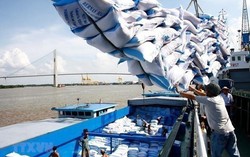5 nhóm giải pháp để phát triển thị trường xuất khẩu gạo