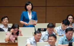 Cần lồng ghép bình đẳng giới trong Luật Bảo vệ quyền lợi người tiêu dùng