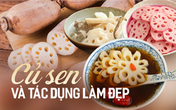Loại củ lớn lên trong bùn, vẻ ngoài "xấu xí" nhưng rất bổ dưỡng