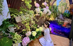 Mẹ đảm biến góc ban công 4m2 thành nơi đủ hoa và bể cá mà vẫn thoáng đẹp