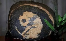 Nhặt được hòn đá có hình gấu trúc, người đàn ông vô tình mang “kho báu” hơn 300 trăm tỉ về nhà