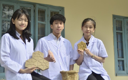 Nhóm học sinh biến phế phẩm nông, ngư nghiệp thành vật liệu xanh