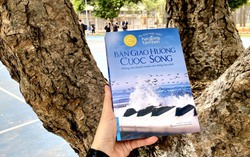 Tuyển tập 127 câu chuyện “Hạt giống tâm hồn” hay nhất