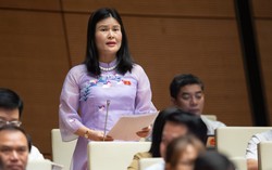 ĐBQH: Có làn sóng các trường đại học đua nhau thực hiện kiểm định để tăng học phí