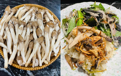 Nấm mối chưa vào mùa nhưng đã được chị em "săn lùng"