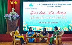 Phụ nữ Gia Lai thi đua yêu nước bằng những phong trào vì phụ nữ