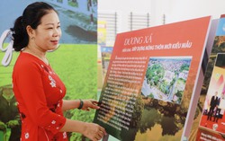 Khai mạc Triển lãm “Sức sống những miền quê”