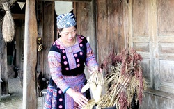 "Làm du lịch để tăng thu nhập cho bản thân và bà con"