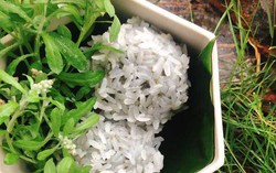 Loại rau mọc dại khắp cánh đồng, được dùng làm bánh, làm thuốc dưỡng phổi, hạ huyết áp