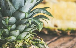 Bộ phận ít dùng từ cây dứa mang lại nhiều lợi ích cho sức khoẻ