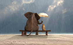Đầu tư 4 khoản này, không sợ lỗ bởi sẽ thu được "lợi nhuận" khổng lồ