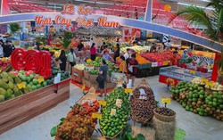 Mận hậu Sơn La, vải thiều Bắc Giang quy tụ tại Tiền Giang