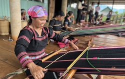 Gia Lai: Hỗ trợ phụ nữ dân tộc thiểu số phát triển kinh tế, vươn lên thoát nghèo