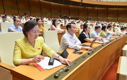 Quốc hội thông qua Luật Bảo vệ quyền lợi người tiêu dùng (sửa đổi): Giao dịch dưới 100 triệu đồng được giải quyết thủ tục rút gọn