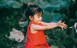 Tan chảy trước bộ ảnh ngọt ngào của bé gái 2 tuổi tạo dáng bên đầm sen