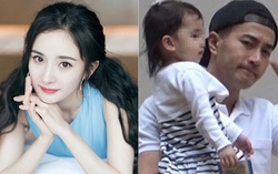 Bố Lưu Khải Uy đòi Dương Mịch tái hợp với chồng cũ vì tình trạng sức khỏe của cháu gái