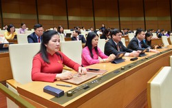 Thông qua cơ chế đặc thù của TPHCM: HĐND thành phố sẽ thành lập Sở An toàn thực phẩm