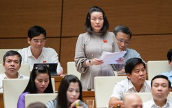 Cần quy định rõ để tránh tình trạng lạm quyền trong lực lượng bảo vệ an ninh, trật tự ở cơ sở 