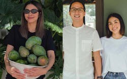 Hà Tăng phủ nhận nghi vấn tiếp tục mang thai