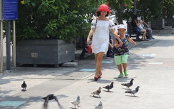 TPHCM: Ngại sinh con và nguy cơ già hóa dân số tốc độ nhanh