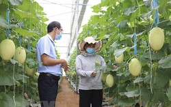 Điều kiện hỗ trợ phát triển sản xuất liên kết theo chuỗi giá trị